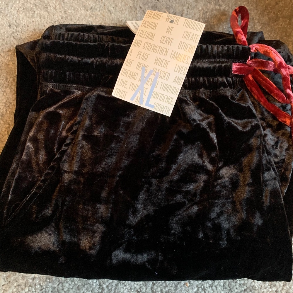 Velvet JAX NWT